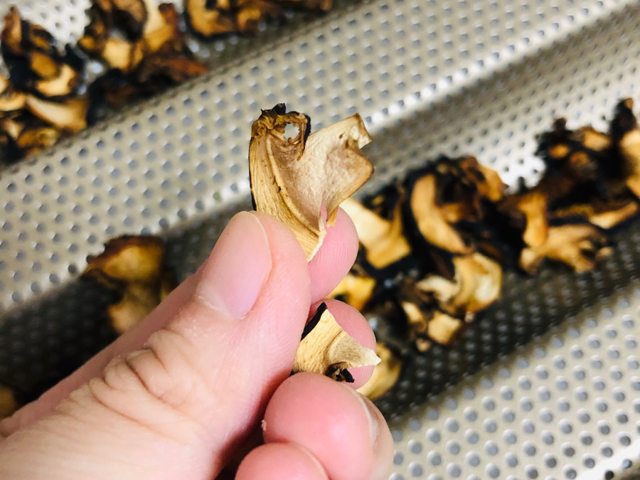 yuan_cb62092912f396b3087ac4c4dc8abb41 yuan_cb62092912f396b3087ac4c4dc8abb41