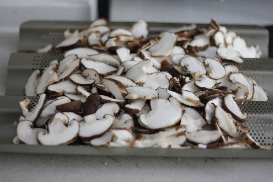 yuan_3c7aa1182779c0491a5028e074085e52 yuan_3c7aa1182779c0491a5028e074085e52