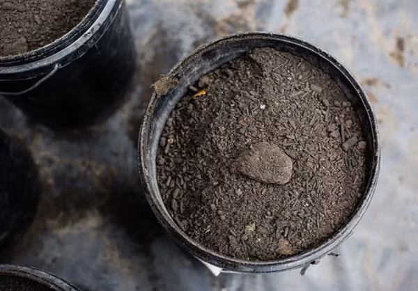 Tro Phật phải được xin trên chùa hoặc bàn thờ nhà mình mới hiệu nghiệm. 