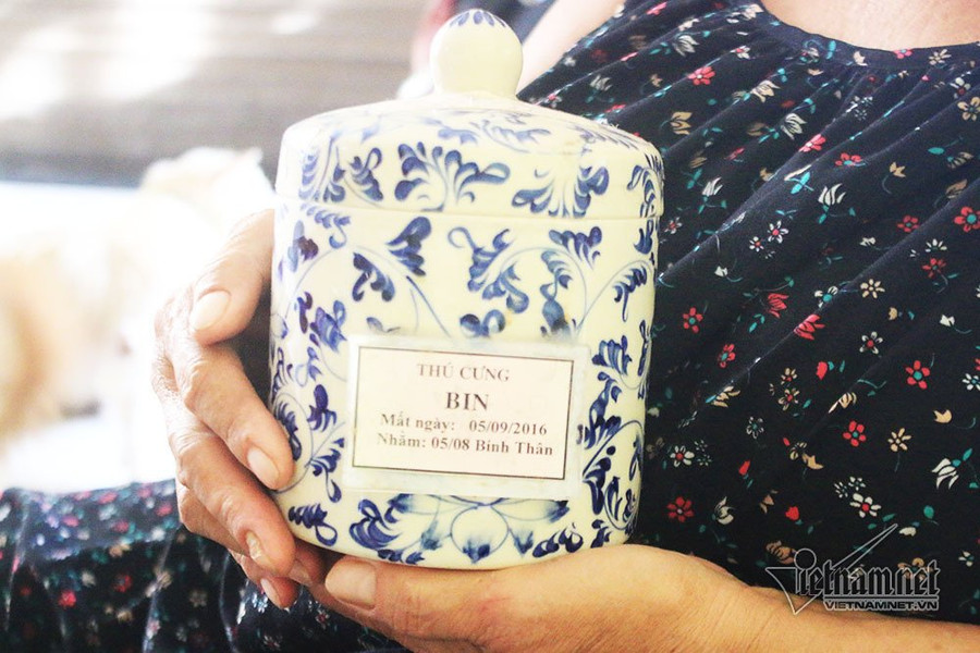 Người phụ nữ Sài Gòn cưu mang chó quý của đại gia phá sản