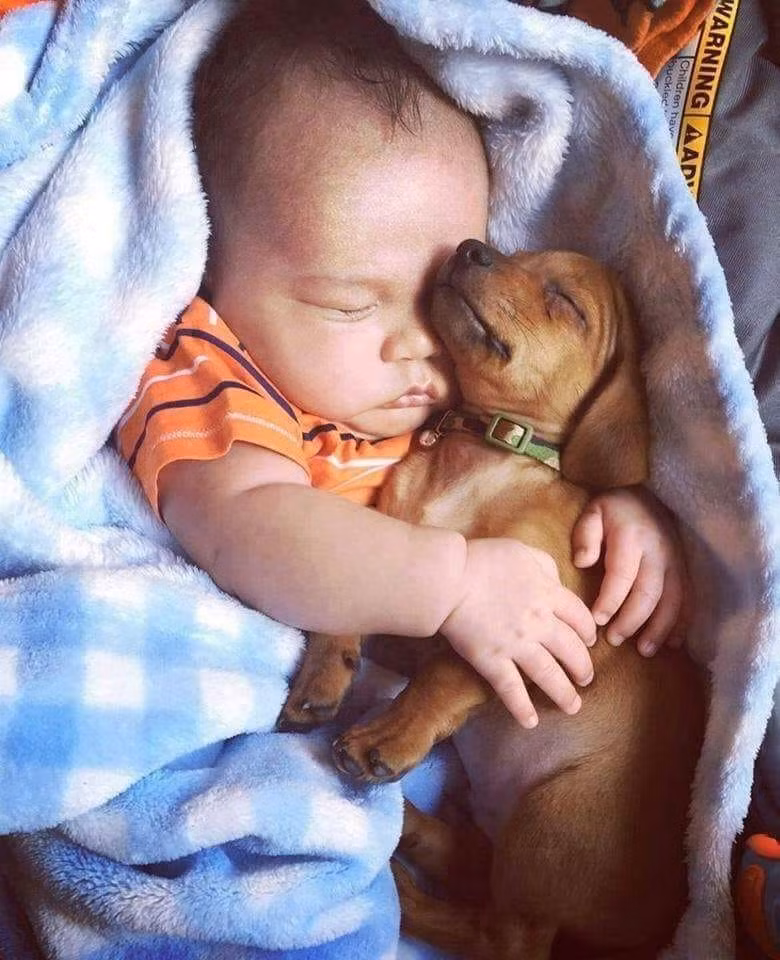 Hôm nay tớ mệt, cho tớ mượn bờ vai nhé