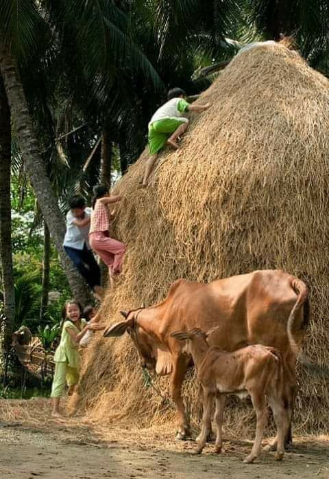 Tuổi thơ tôi Tuổi thơ tôi
