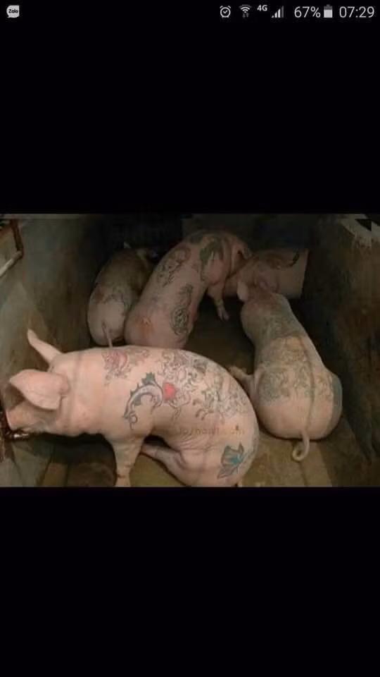 Khi bạn thiếu người để thực hành