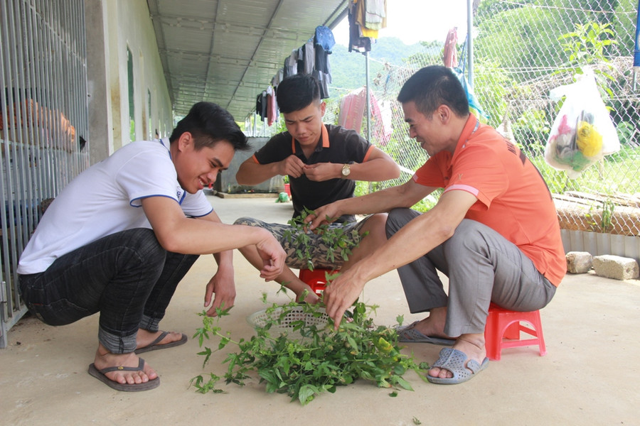 Thầy trò cùng chuẩn bị bữa ăn theo tiêu chí xanh – sạch để đảm bảo vệ sinh an toàn thực phẩm những ngày thi Thầy trò cùng chuẩn bị bữa ăn theo tiêu chí xanh – sạch để đảm bảo vệ sinh an toàn thực phẩm những ngày thi