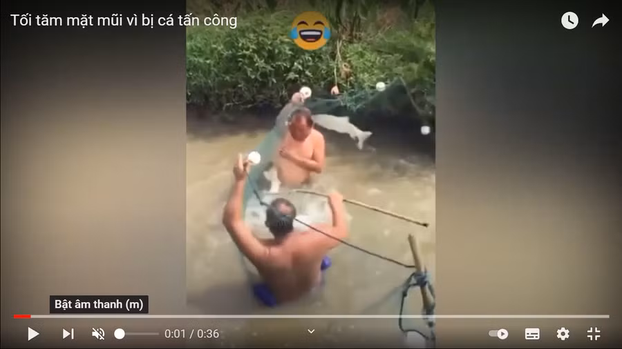 Clip: Người đàn ông đi bắt cá bất ngờ bị đàn cá "phản công"