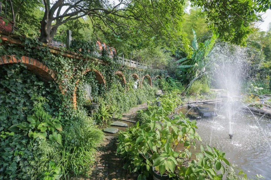 Khu vườn 5000m² đẹp không thể rời mắt, được người đàn ông cải tạo từ bãi đất hoang suốt 17 năm ảnh 31