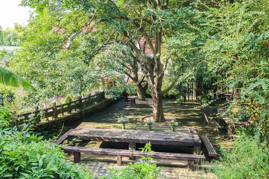 Khu vườn 5000m² đẹp không thể rời mắt, được người đàn ông cải tạo từ bãi đất hoang suốt 17 năm ảnh 30