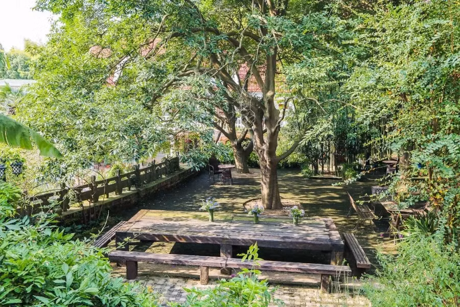 Khu vườn 5000m² đẹp không thể rời mắt, được người đàn ông cải tạo từ bãi đất hoang suốt 17 năm ảnh 30