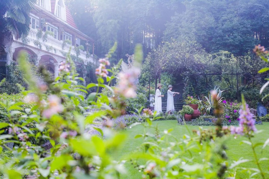 Khu vườn 5000m² đẹp không thể rời mắt, được người đàn ông cải tạo từ bãi đất hoang suốt 17 năm ảnh 33