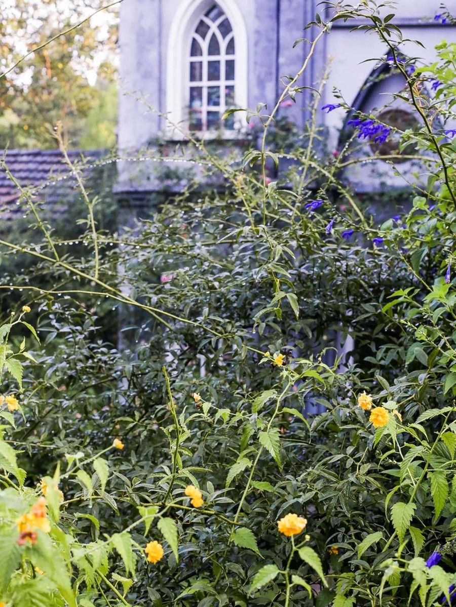 Khu vườn 5000m² đẹp không thể rời mắt, được người đàn ông cải tạo từ bãi đất hoang suốt 17 năm ảnh 23