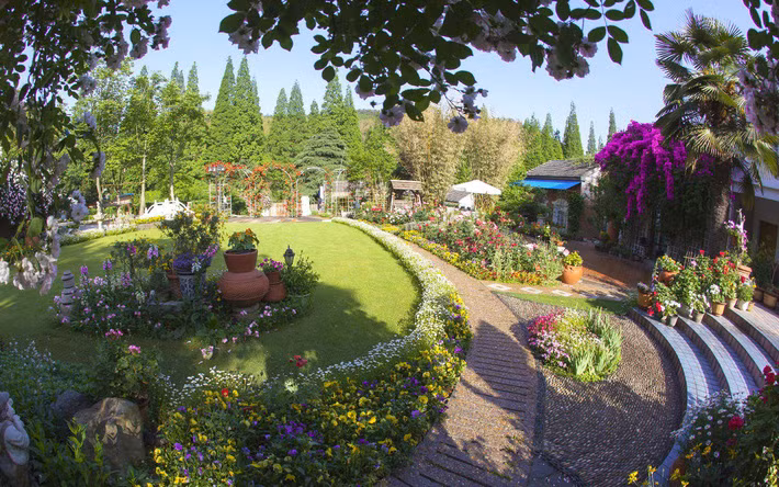 7136d98f4862a2fe8e0022c5e6141a19b4a37971