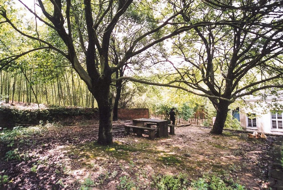 Khu vườn 5000m² đẹp không thể rời mắt, được người đàn ông cải tạo từ bãi đất hoang suốt 17 năm ảnh 36