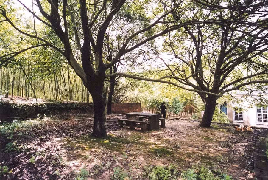 Khu vườn 5000m² đẹp không thể rời mắt, được người đàn ông cải tạo từ bãi đất hoang suốt 17 năm ảnh 36