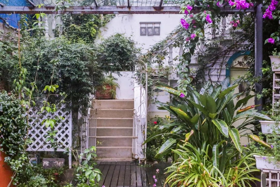 Khu vườn 5000m² đẹp không thể rời mắt, được người đàn ông cải tạo từ bãi đất hoang suốt 17 năm ảnh 15