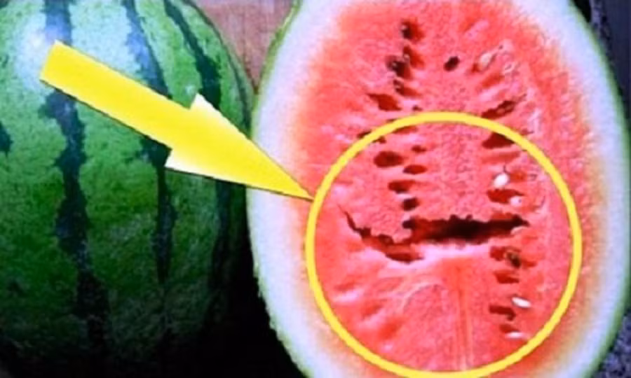 meo chon dua hau-phunutoday