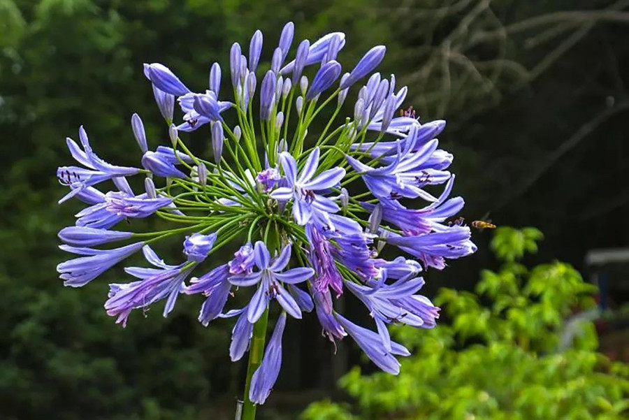 Khu vườn 5000m² đẹp không thể rời mắt, được người đàn ông cải tạo từ bãi đất hoang suốt 17 năm ảnh 22