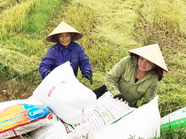 Người nông dân hồ hởi về một vụ mùa thắng lợi