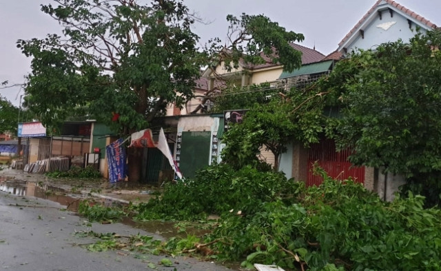 Cây cối bị gãy đổ