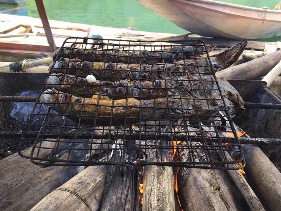 ca ngon nhat song da, gia cat co vi tac dung bo than, trang duong hinh anh 2