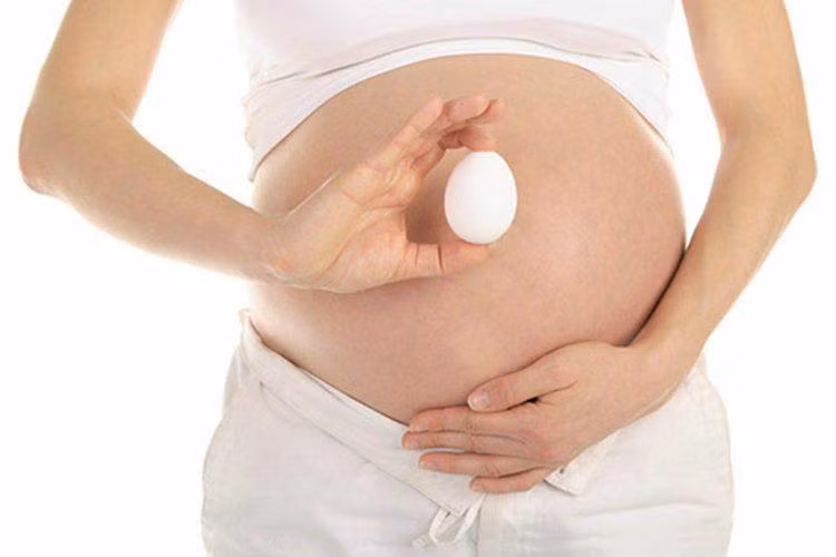 Bà bầu nên ăn trứng ngỗng vào tháng thứ mấy để sinh con thông minh? ảnh 2