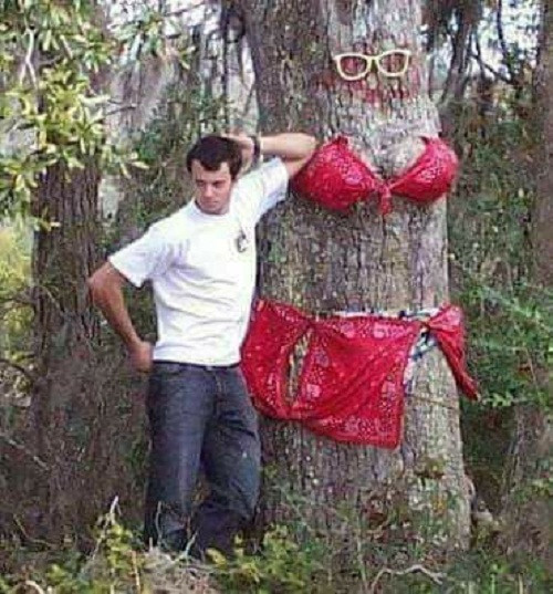 Anh cũng có gấu như ai.