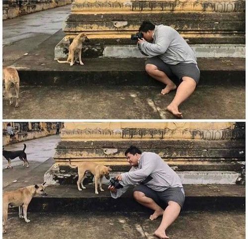 Chụp không đẹp là xác định có dấu răng.