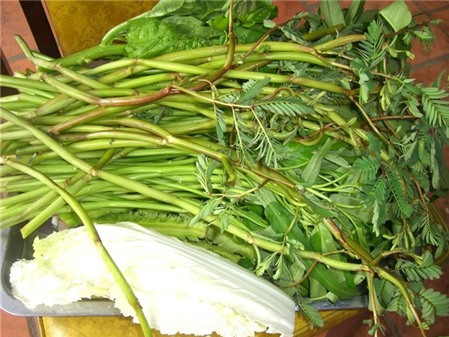 Món ngon bữa trưa: Canh khoai sọ rau rút, món ngon bổ dưỡng - Ảnh 1 Món ngon bữa trưa: Canh khoai sọ rau rút, món ngon bổ dưỡng - Ảnh 1