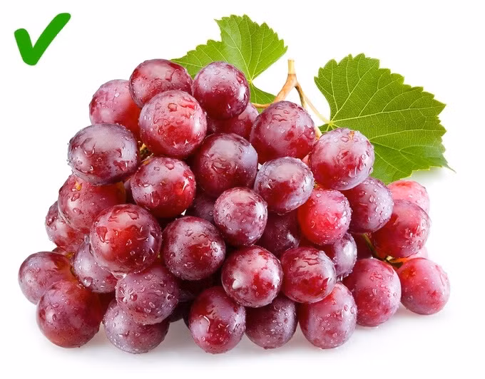 Thực phẩm bạn nên ăn thường xuyên để tụy khỏe mạnh