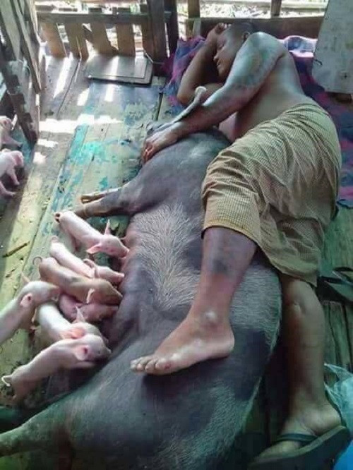 Người đâu của đó. Người đâu của đó.