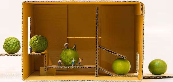 Khám phá cuộc sống của 