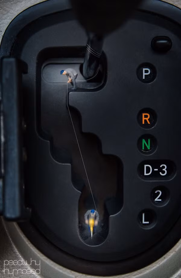 Khám phá cuộc sống của 