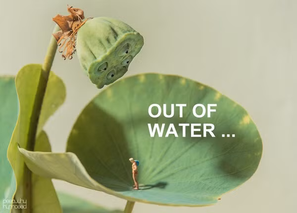 Khám phá cuộc sống của 