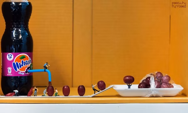 Khám phá cuộc sống của 