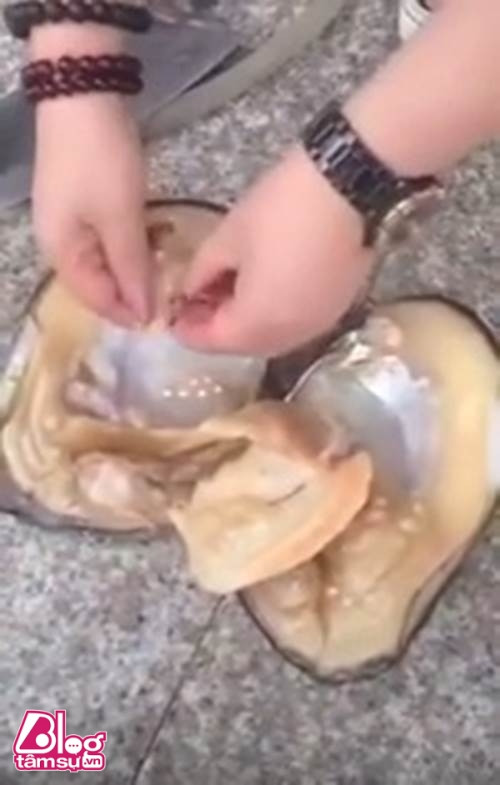 Báu vật khổng lồ sau khi rạch bụng con trai biển ảnh 4 bau vat blogtamsuvn4