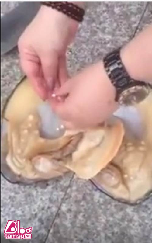 Báu vật khổng lồ sau khi rạch bụng con trai biển ảnh 3 bau vat blogtamsuvn3