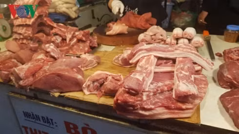 Hà Nội “chạy đua” ngăn dịch tả lợn châu Phi