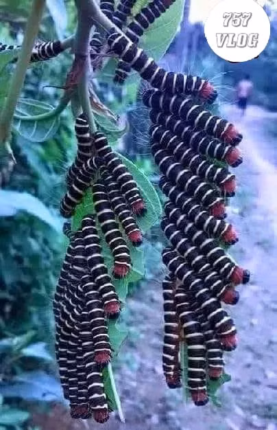 Thư giãn...thư giãn