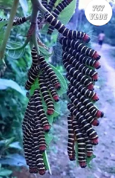 Thư giãn...thư giãn