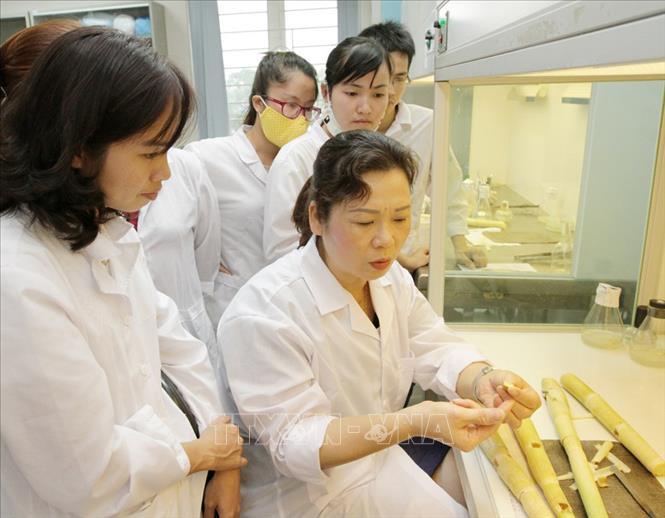 Tôn vinh những thành tựu và sự cống hiến của phụ nữ cho nhân loại ảnh 6 Chú thích ảnh