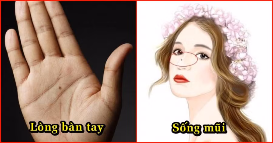 VN_15c63c69d9774eb019d04000t099fed8d (1)