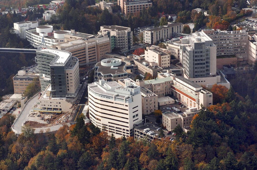 {title} tỷ lệ sinh viên - giảng viên