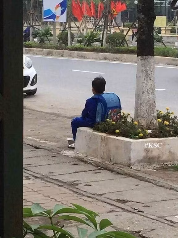 Cậu bé giận mẹ nên mang chậu cà chua đi bán nhưng tiếc là chưa có ai mua. Nguồn: Huong Nguyen