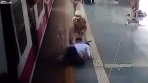 Pha thoát chết gang tấc khi bị ngã khỏi tàu hỏa