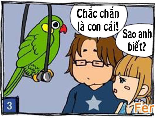 Xin lỗi em chỉ là con... gái