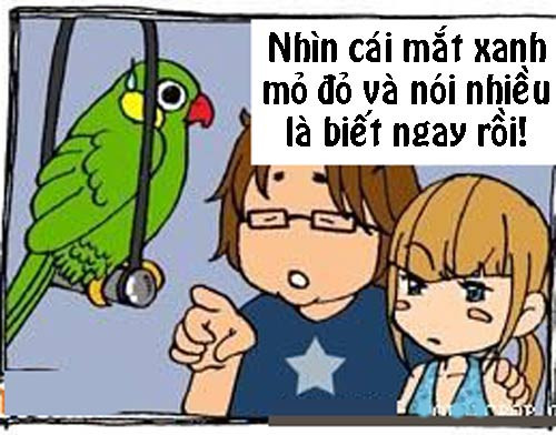 Truyện tranh: Xin lỗi em chỉ là con... gái hình ảnh 4 truyen tranh: xin loi em chi la con... gai hinh anh 4