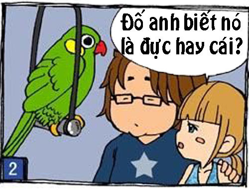 Truyện tranh: Xin lỗi em chỉ là con... gái hình ảnh 2 truyen tranh: xin loi em chi la con... gai hinh anh 2