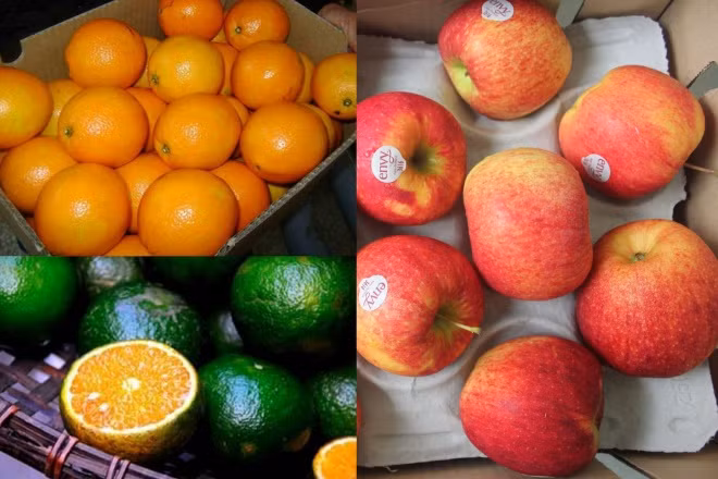 cách duy trì sức khỏe tuổi trung niên, sức khỏe người cao tuổi, cách chăm sóc sức khỏe