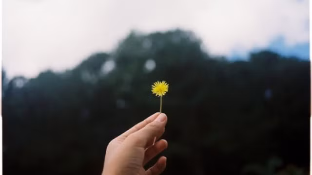 Cuối cùng chúng ta cũng chỉ là cái tên cũ trong danh bạ của nhau