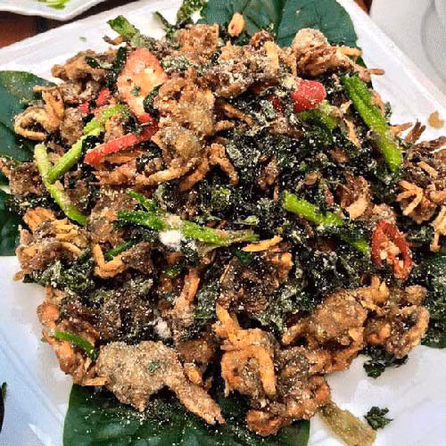 Giải đáp về con rươi - đặc sản mùa thu tại miền Bắc: Giá trị dinh dưỡng thế nào và có độc không - Ảnh 7.