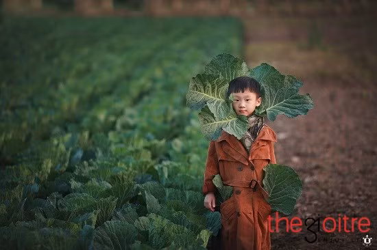Gần đây nhất là bộ ảnh Bé cải bắp, Cậu bé yêu chụp ảnh và Chàng họa sĩ sáng tạo.